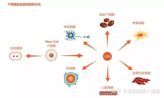 重磅最新2020医保药品目录公布！这3种呼吸用药大降价！(图1)