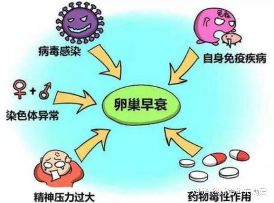 消化系统中成药Top20：藿香正气、健胃消食、片仔癀(图1)