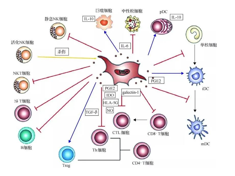 中国医改有中国式办法天博体育官网入口（健康新征程③）--健康·生活--人民网(图1)