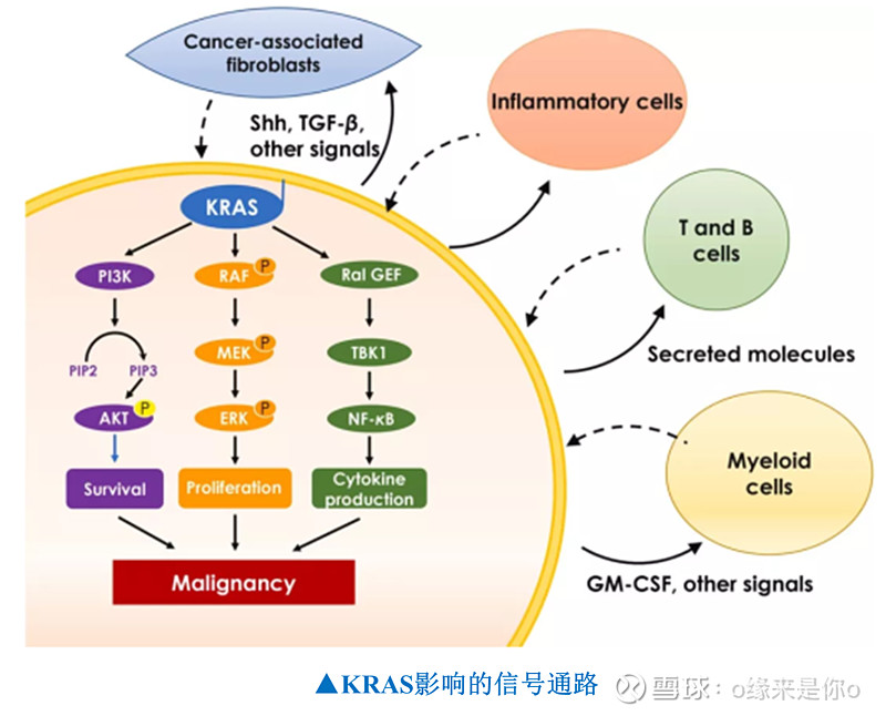 大数据+人工智能 为肿瘤患者制定个性化诊疗方案(图1)