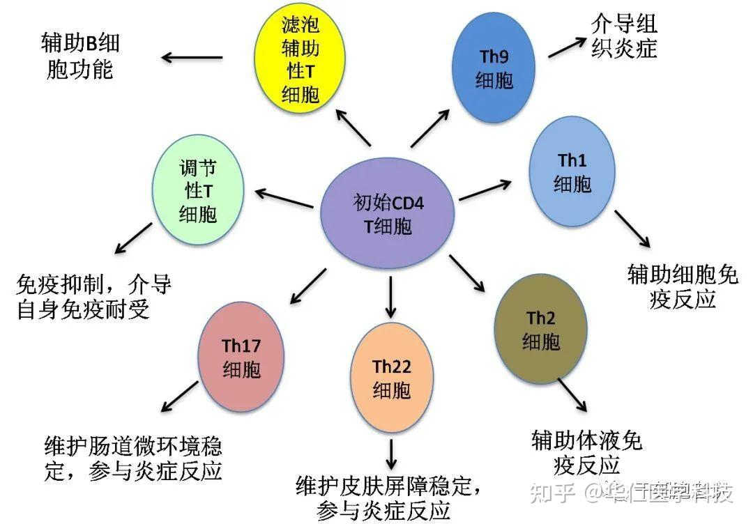 天博体育官网入口足不出户也能进行健康检测(图1)