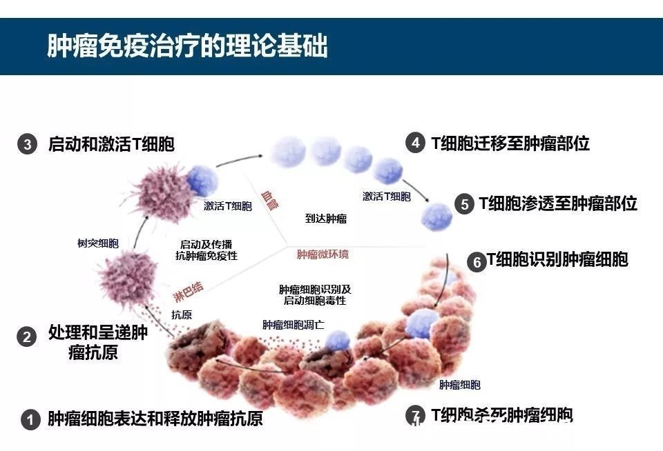 中医在肿瘤治疗中有哪些优势哪些癌症患者适于中医治疗(图1)