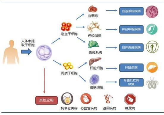 欧洲药品管理局批准全球首个基础胰岛素周制剂 Awiqli 用于治疗成人糖尿病(图1)