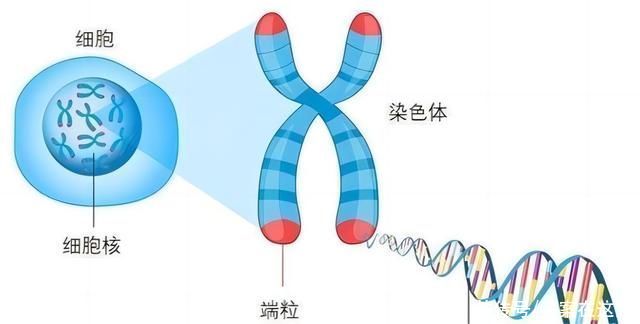 抗乙肝病毒的药物该怎么吃？看完这篇文章你就彻底懂了！(图1)