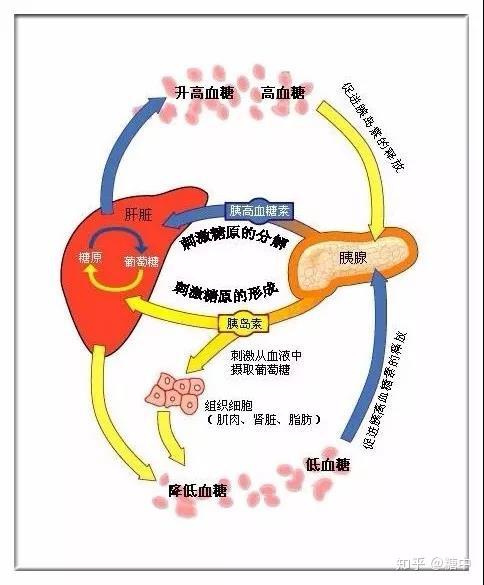 血液系统罕见病超说明书用药共识发布涵盖43种药品(图1)