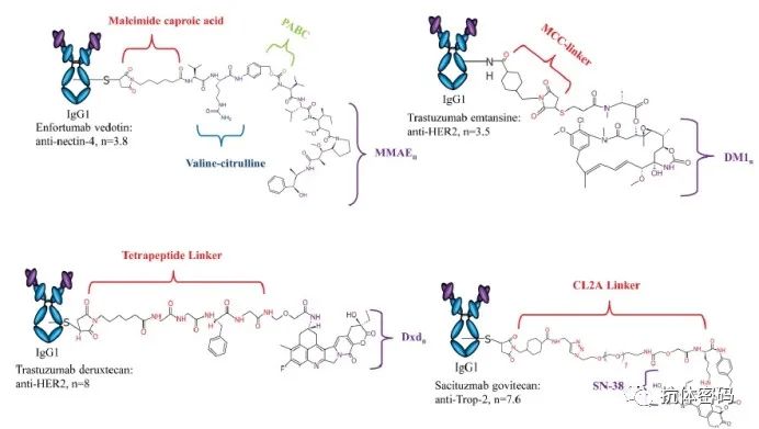 盘点+福利 27款全球获批上市的ADC和双抗产品一览(图1)