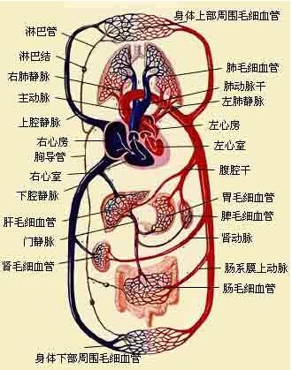 国内首个血液系统罕见病超药品说明书用天博tb综合体育官方网站药专家共识发布 血液系统罕见病患者 超说明书用药有依据(图1)