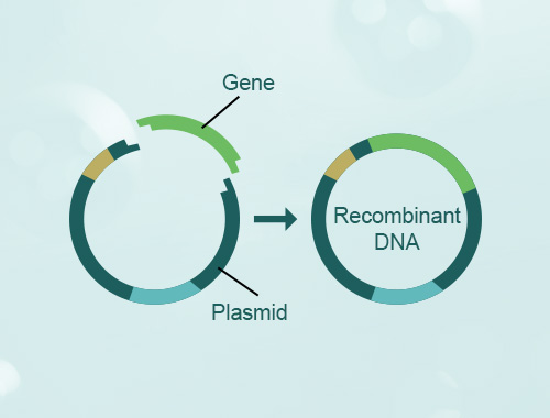 天博官网未米生物获数千万元Pre-A轮融资基因编辑育种的“领军者”(图1)