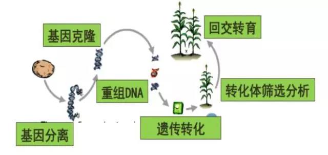 天博官网新版app安科生物：公司的重组人干扰素α2b“安达芬”系列制剂属于抗病毒、具有调节免疫能力的药品(图1)