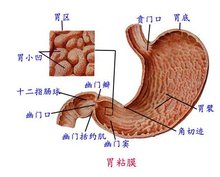 天博tb官网链接7种常见便秘用药一表展示非常实用！(图1)