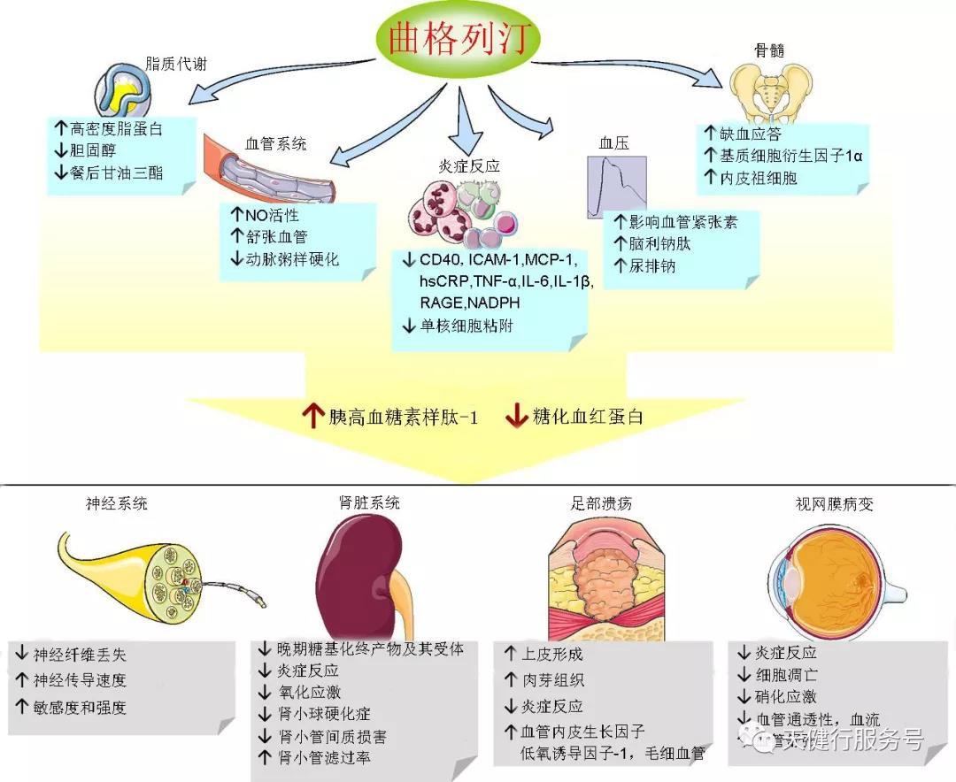 天博官网新版app14个心脑血管独家中成药亮眼！30亿大品种领跑同仁堂、以岭……上榜康缘1类新药来袭(图1)